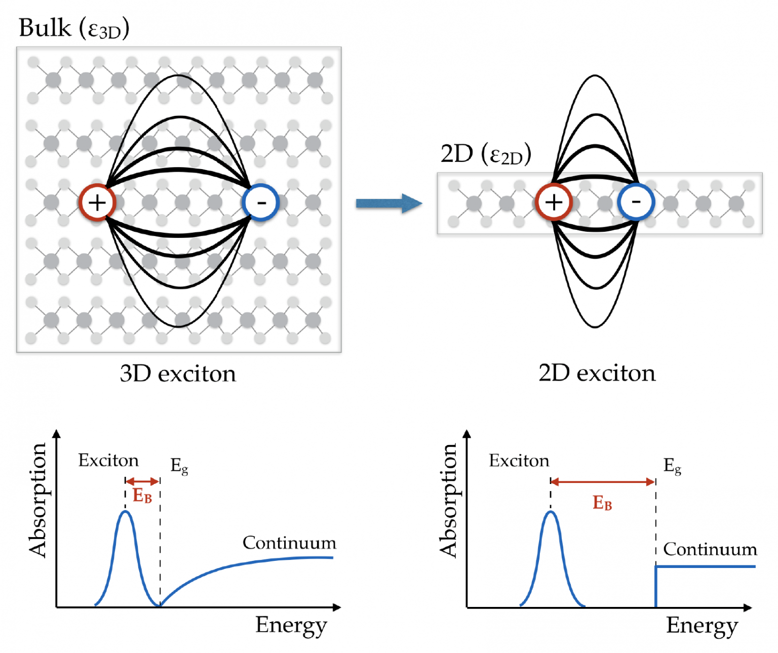 2D Materials Ultrafast spectroscopy group Polimi