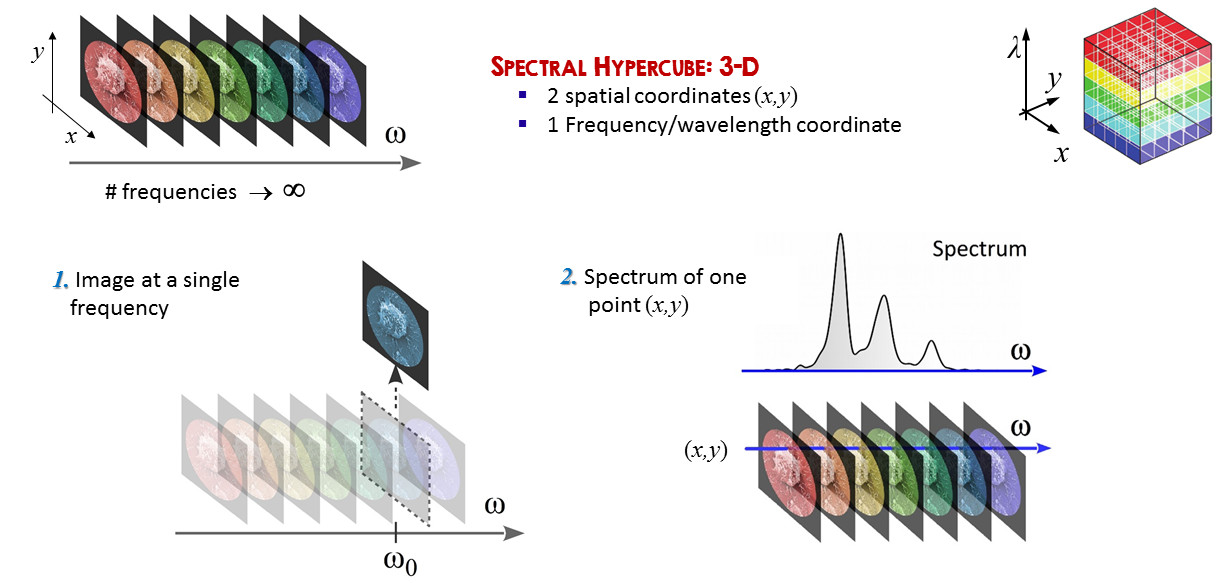 Hyperspectral Imaging and Microscopy Ultrafast spectroscopy group Polimi